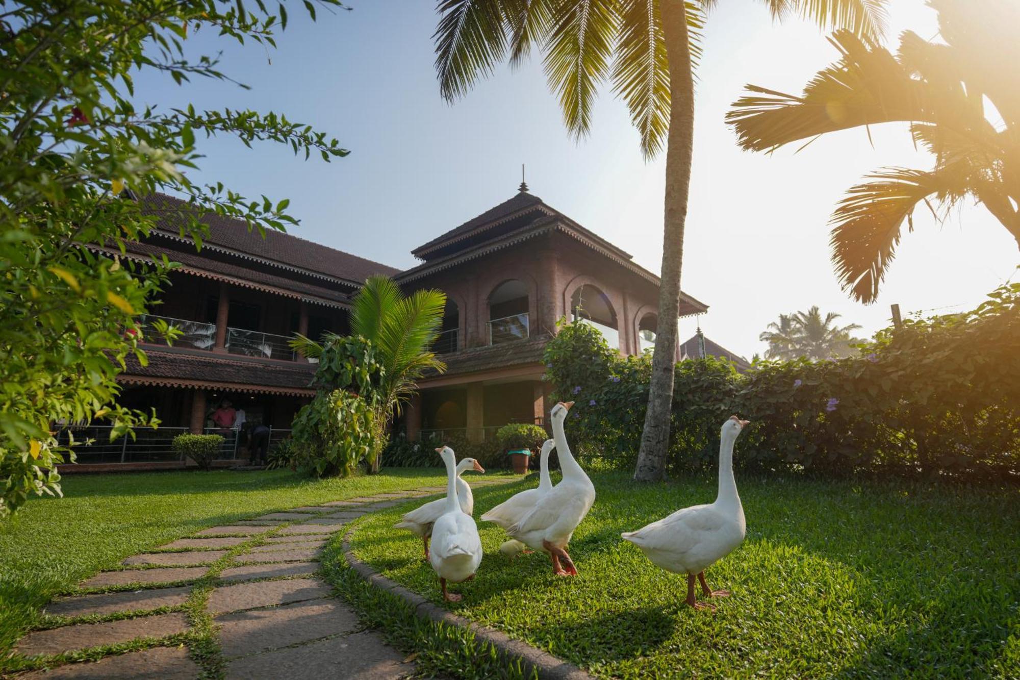 Lakesong Resort Kumarakom Eksteriør bilde