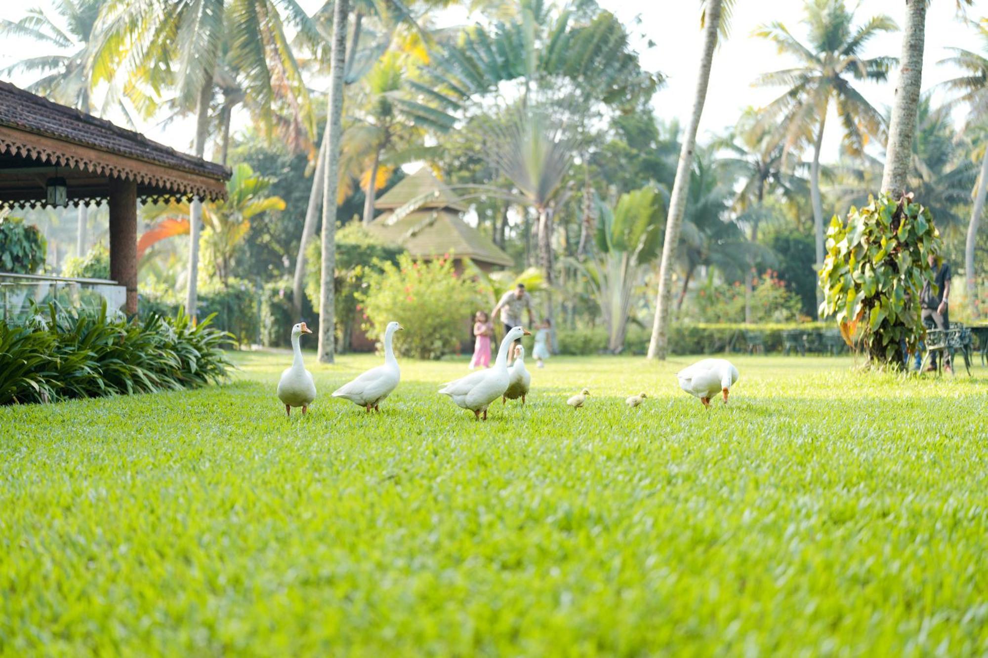 Lakesong Resort Kumarakom Eksteriør bilde